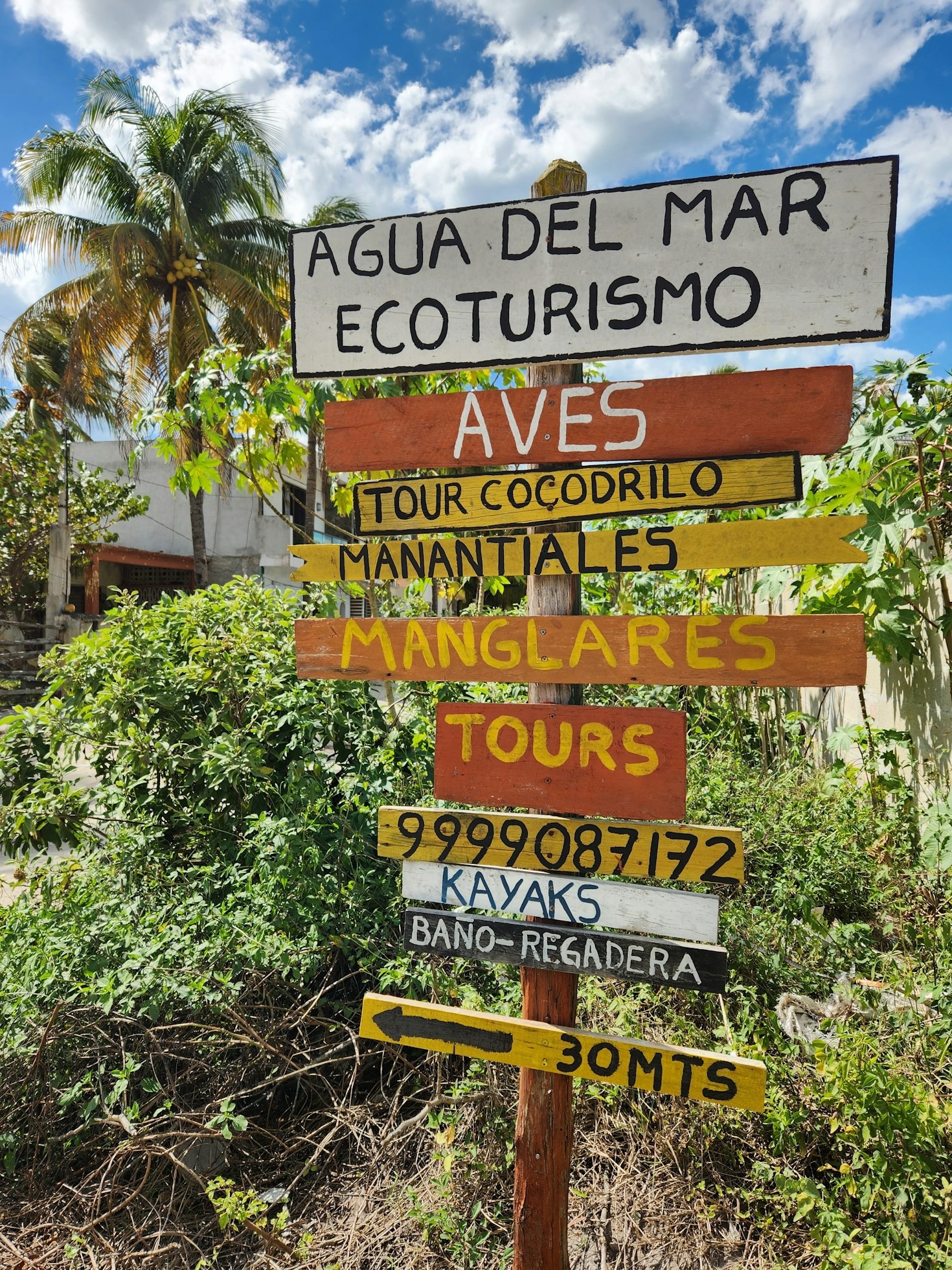 Desenvolvimento Territorial: Conectando Cultura e Sustentabilidade